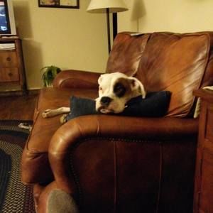 Meet your Posher, Darlene